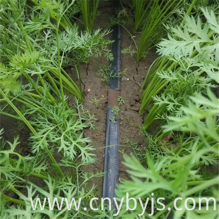 Drip Irrigation 68